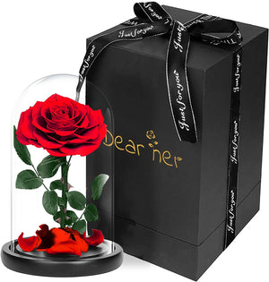 
                  
                    Preserved Rose In Glass Dome + Gift Box
                  
                